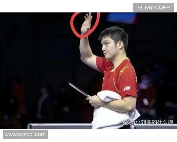 体育明星训练与生活揭秘